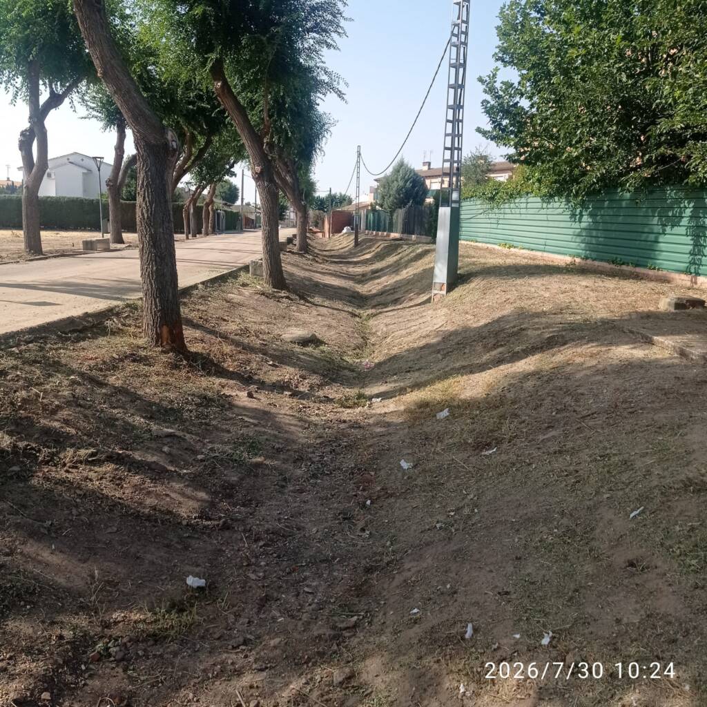 Limpieza y acondicionamiento del arroyo y sus laterales