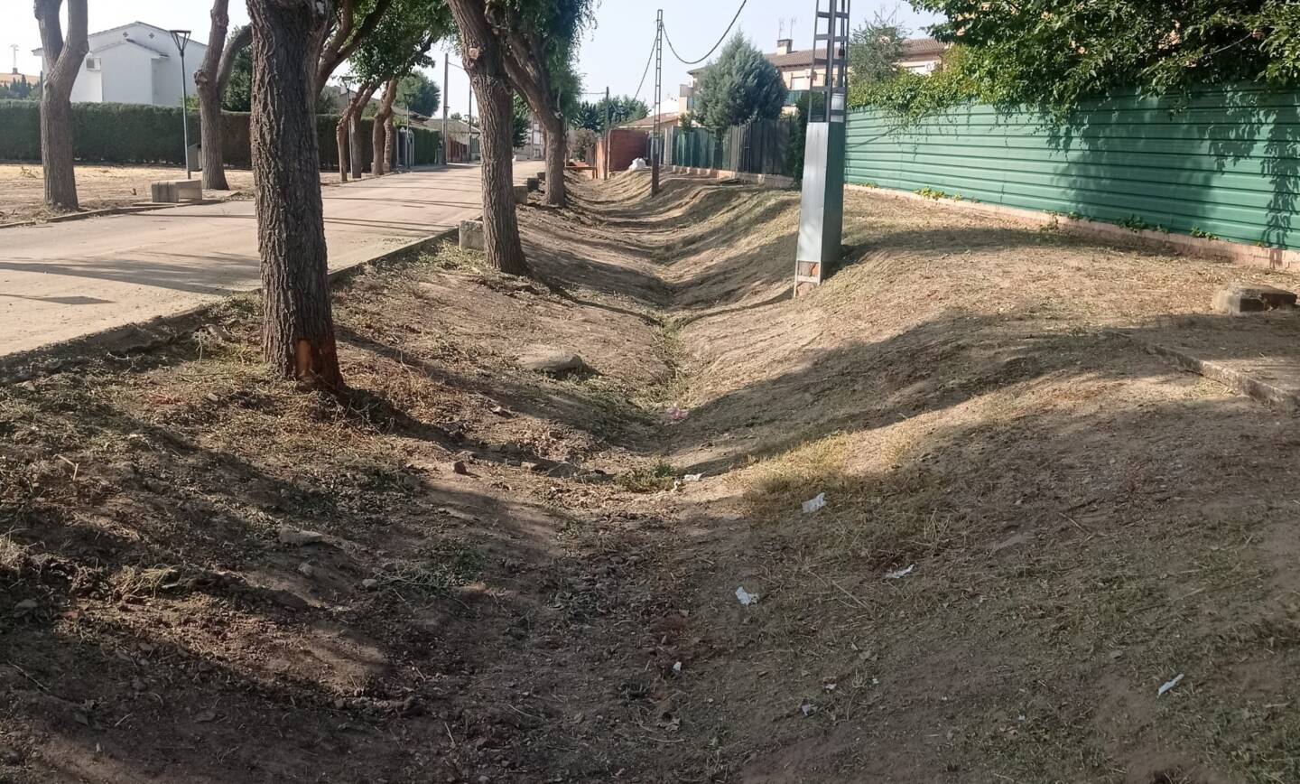 Limpieza y acondicionamiento del arroyo y sus laterales